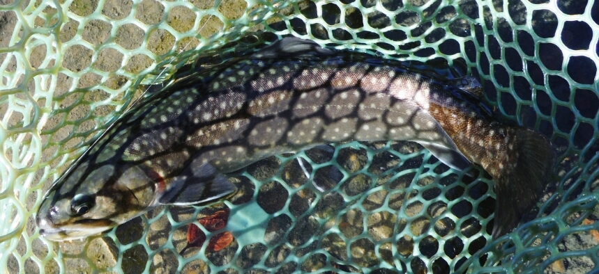 b0304662_22454953.jpg