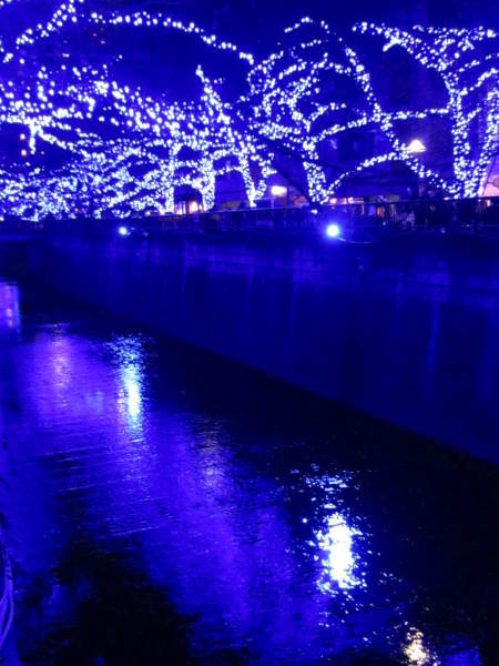 e0262977_21282501.jpg