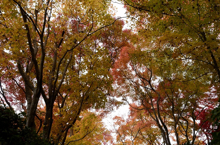 f0108478_1943850.jpg