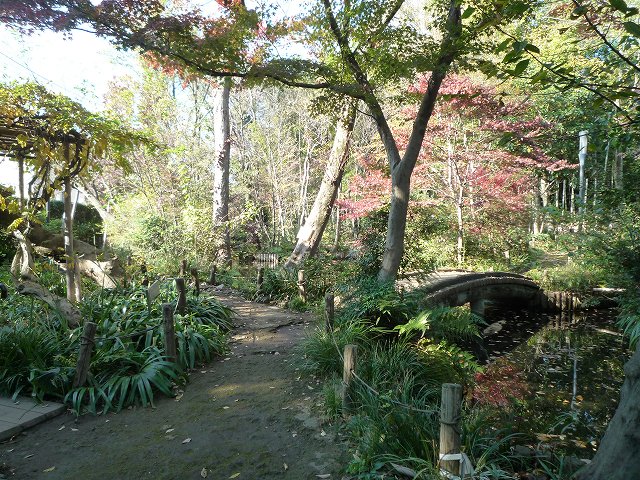 b0287088_1725152.jpg
