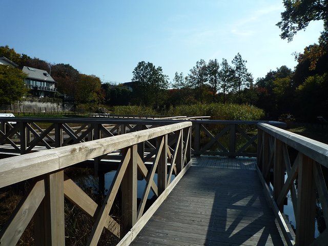 b0287088_17355681.jpg