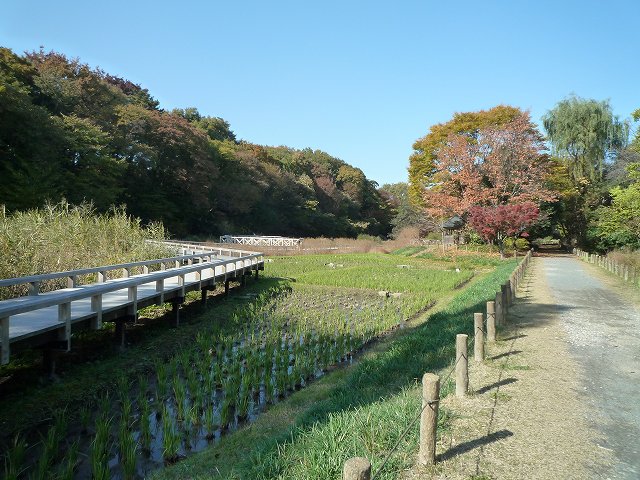 b0287088_17362188.jpg