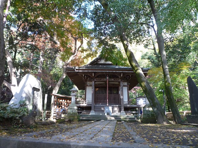 b0287088_175920.jpg