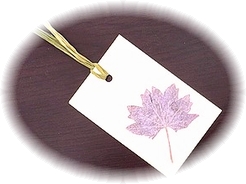 e0143690_16153947.jpg