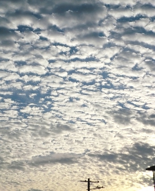 e0143690_16163294.jpg