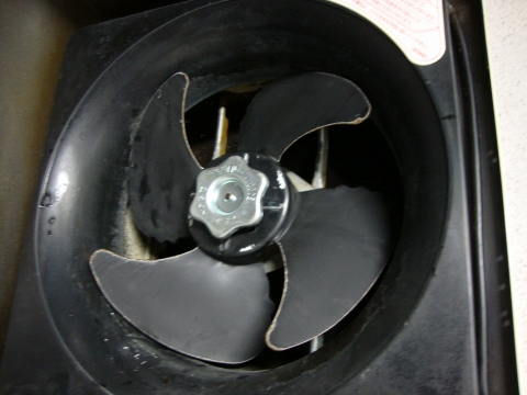 c0322794_23173946.jpg