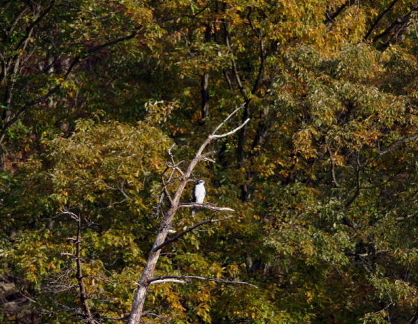 c0311196_20454993.jpg
