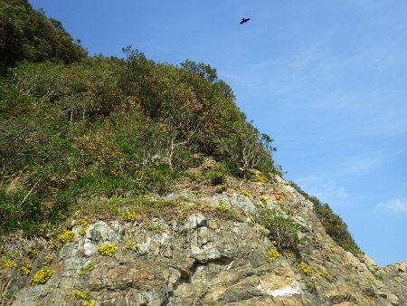 a0125598_21033150.jpg