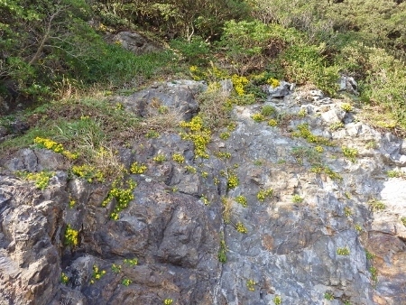 a0125598_21090788.jpg