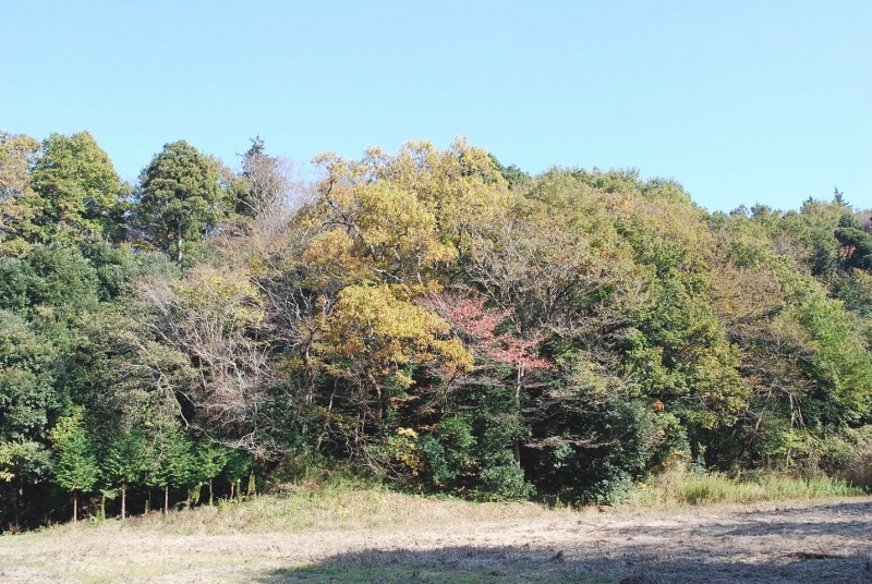 e0025300_1223697.jpg