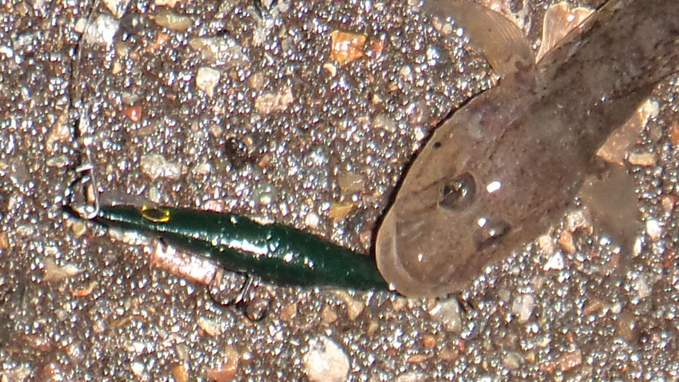 d0325609_1948283.jpg