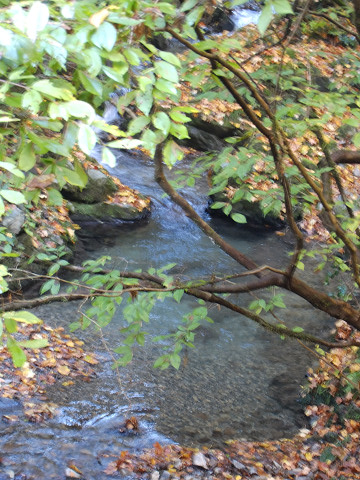 b0309813_23362622.jpg