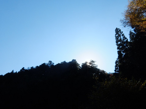 b0309813_23442031.jpg