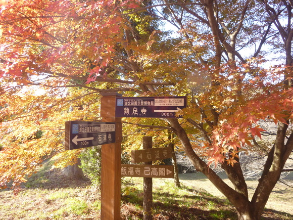 d0170615_1741201.jpg