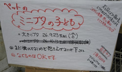 b0342516_23222395.jpg
