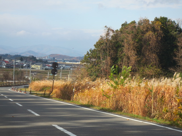 f0248616_1034063.jpg