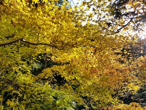 f0327416_9394346.jpg