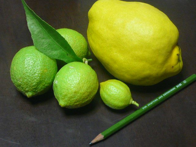 e0026017_10153173.jpg
