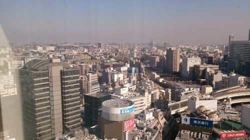 e0219520_15144086.jpg