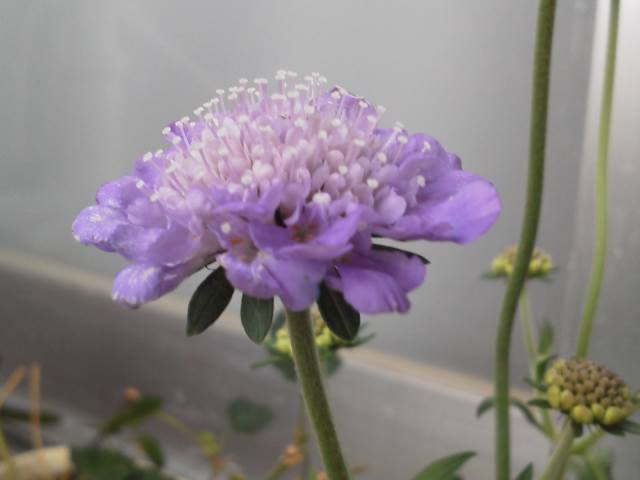 a0268821_21570077.jpg