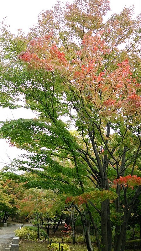 b0199924_15375570.jpg