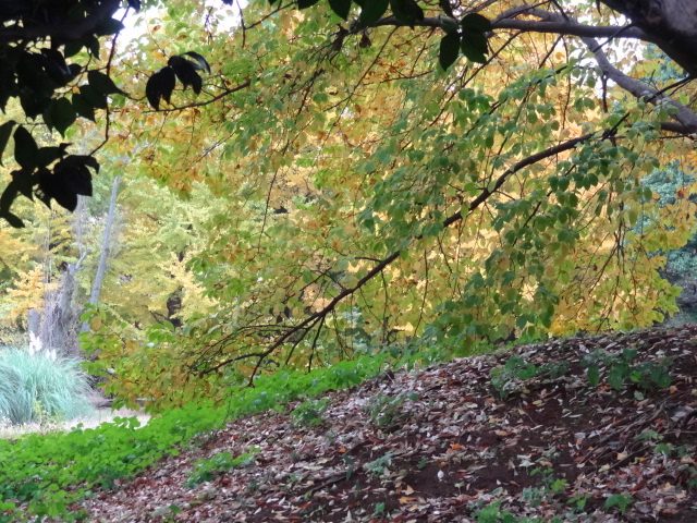 e0016828_11282017.jpg