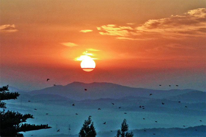 d0029829_057399.jpg