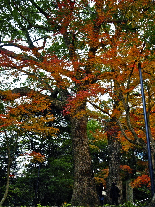 f0315034_15354530.jpg