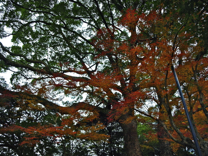 f0315034_15360300.jpg