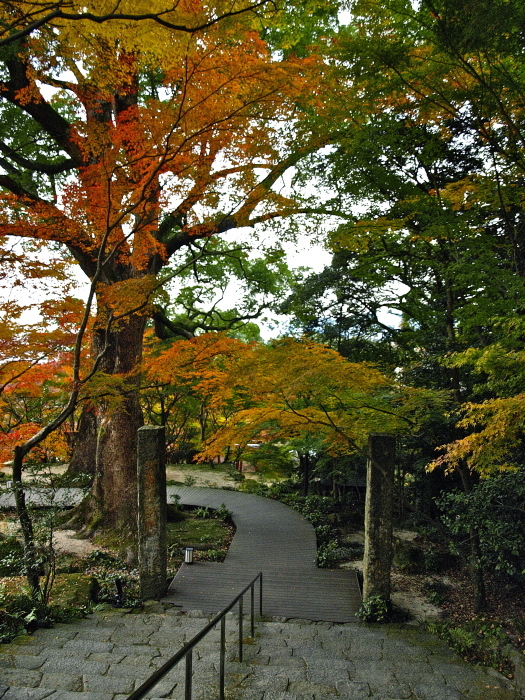 f0315034_15394037.jpg