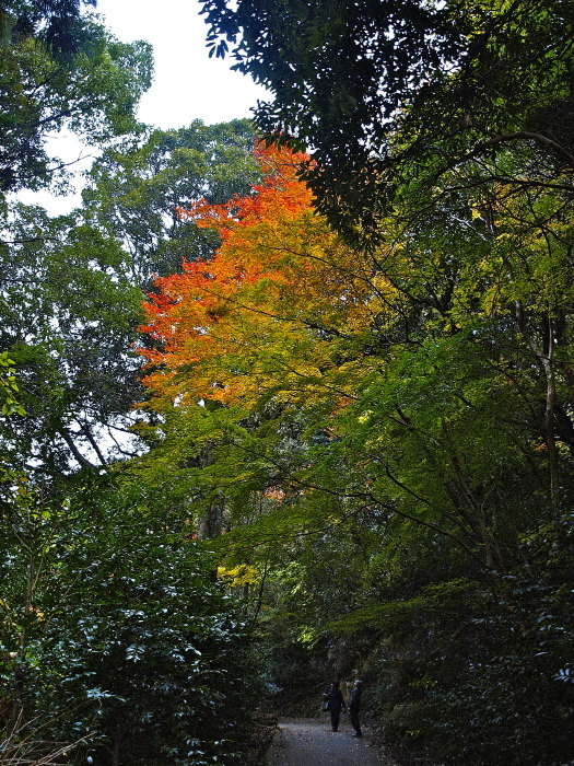 f0315034_15405352.jpg