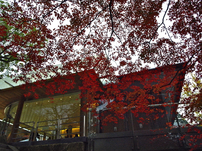 f0315034_16380065.jpg