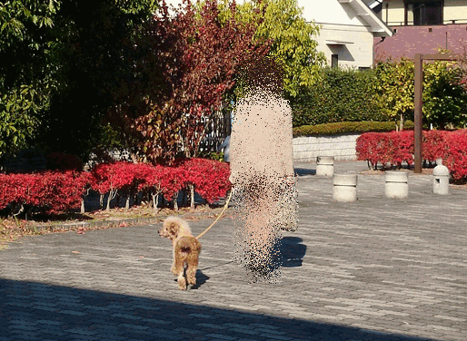 c0136736_9241514.gif