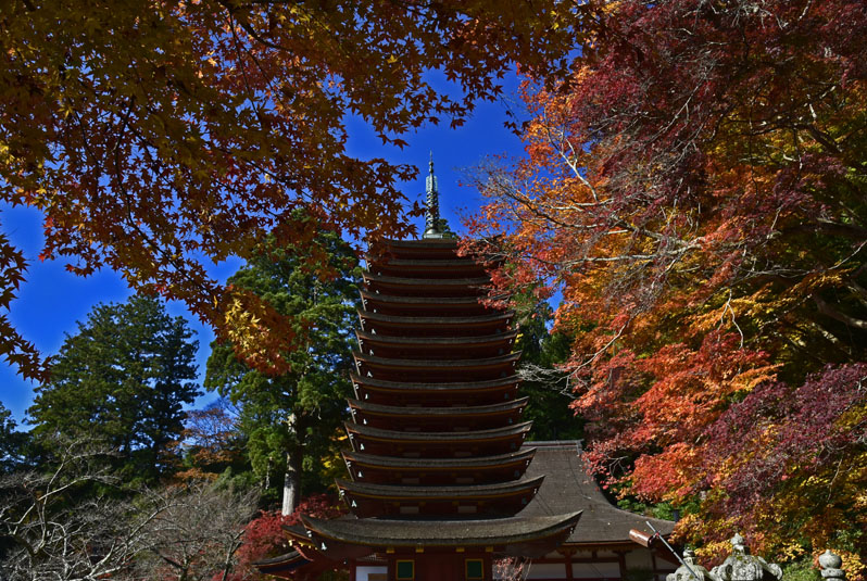 b0042837_21271856.jpg