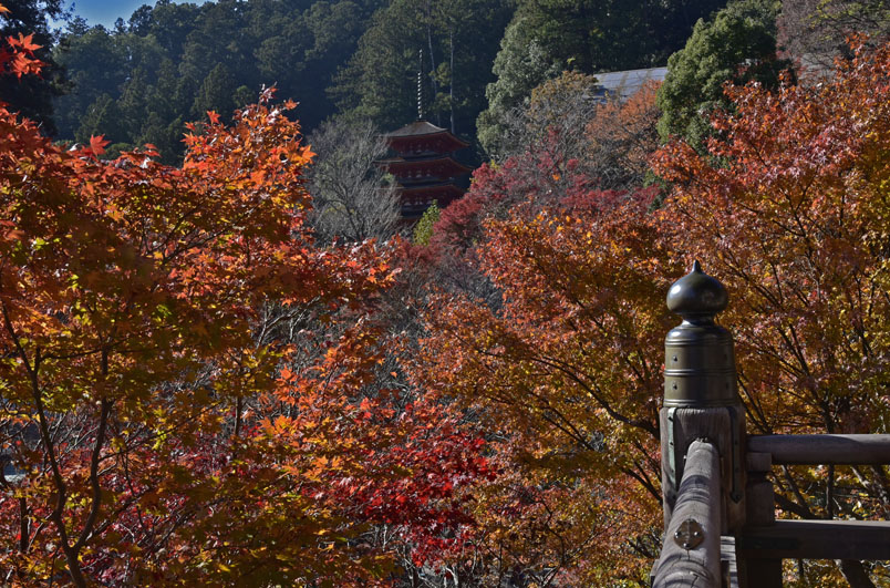 b0042837_212833100.jpg