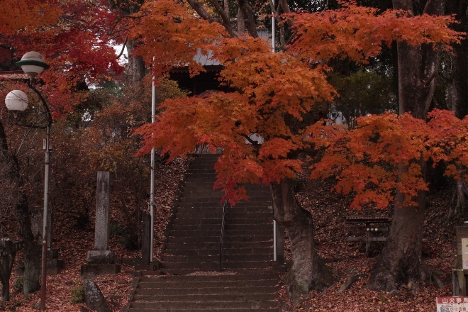 e0227942_18205240.jpg