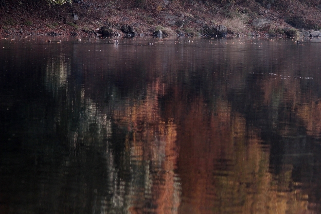 e0227942_19111264.jpg
