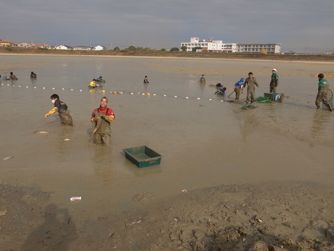 e0020945_1349988.jpg