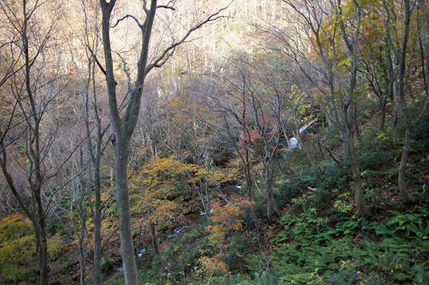 f0214649_4265064.jpg