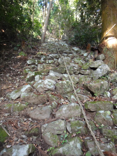 c0179351_21021445.jpg