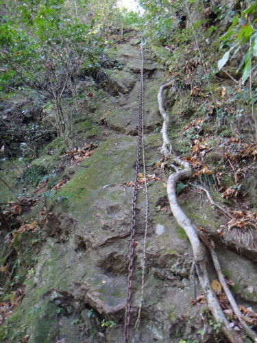 c0179351_21032631.jpg