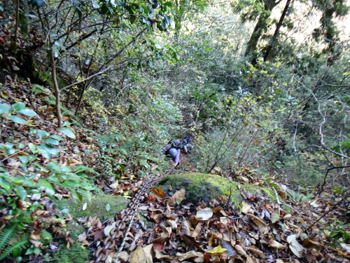 c0179351_21035228.jpg
