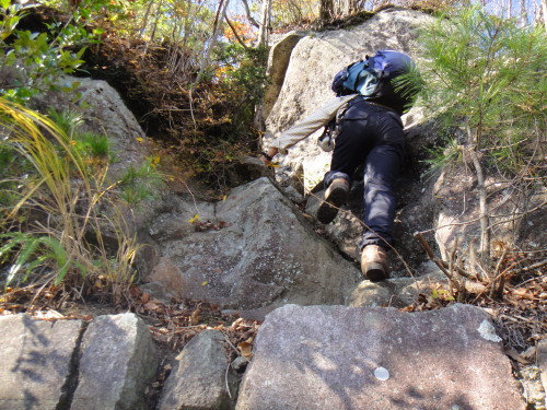 c0179351_21042140.jpg