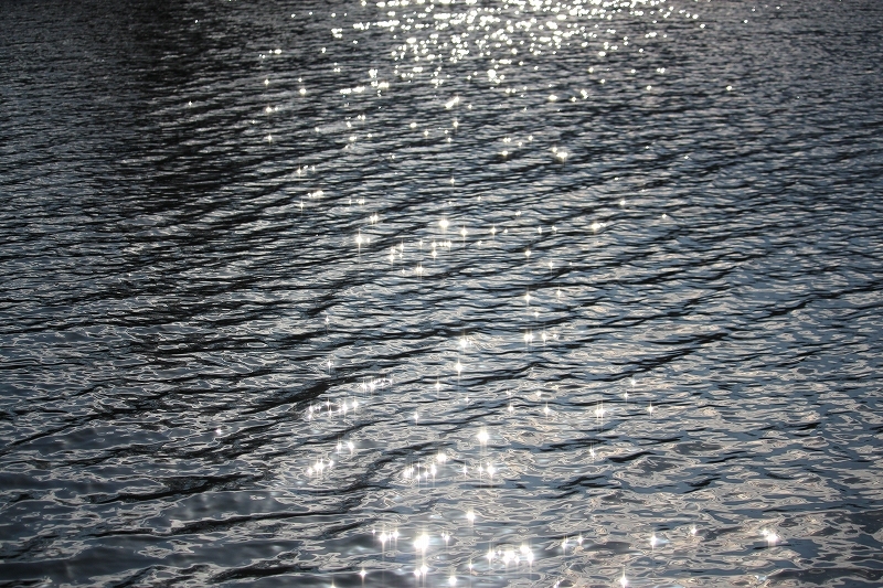 b0250154_23574728.jpg