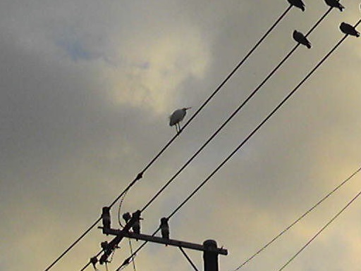 f0055956_744355.jpg