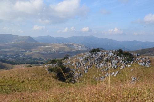 c0186463_025242.jpg