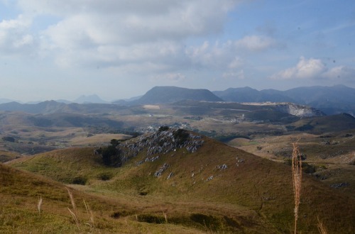 c0186463_035156.jpg