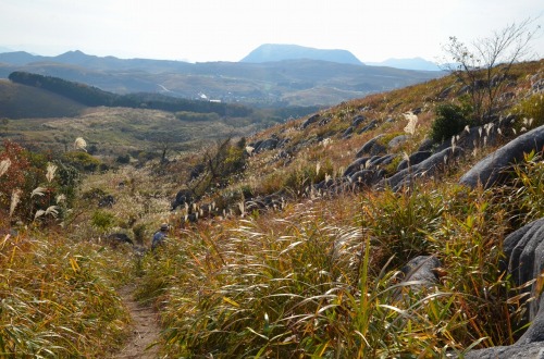 c0186463_051265.jpg