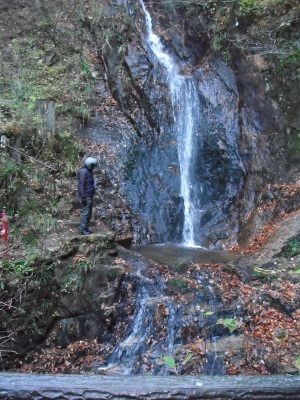 c0325468_20402860.jpg