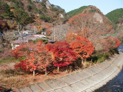 c0325468_20403642.jpg